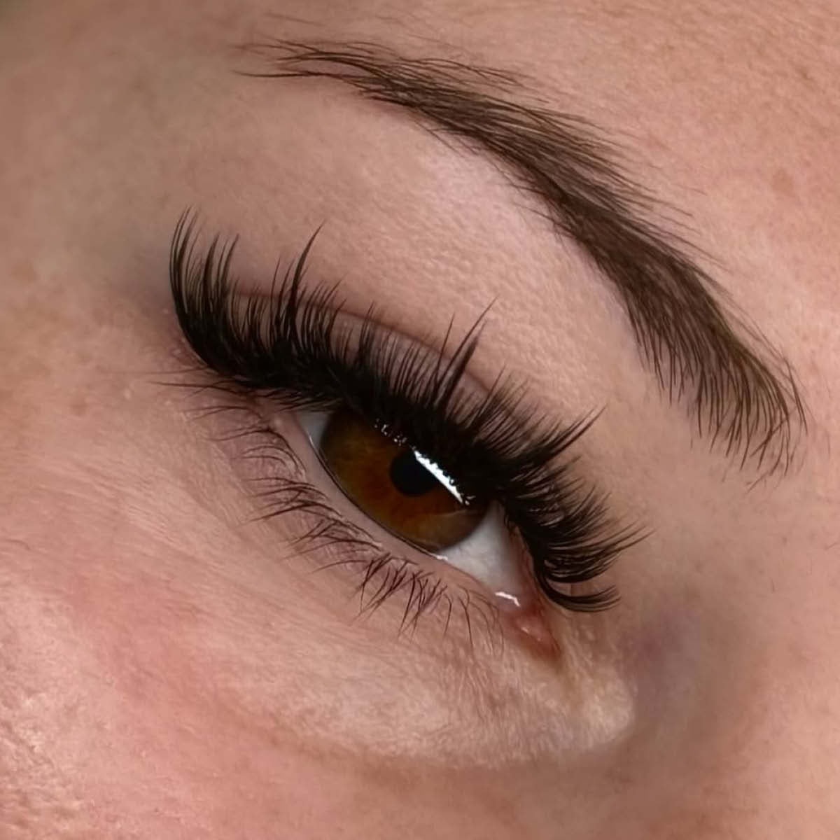 Matte Dark Volume Lashes Saver Bundle - x3 - 0.03/ 0.05/ 0.07 - One V Salon