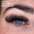 Sample Short Stem Pro Lash Fans - up to 80 Fans - One V Salon