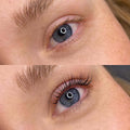 Brow & Lash Cream Dye Starter Kit - 4 Colors and 1 Developer - One V Salon