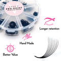 10D Pro-Point Ultimate - 500 loose Mix Fans - One V Salon
