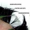 Sample Promade Lash Fans - 50 Loose Fans - One V Salon