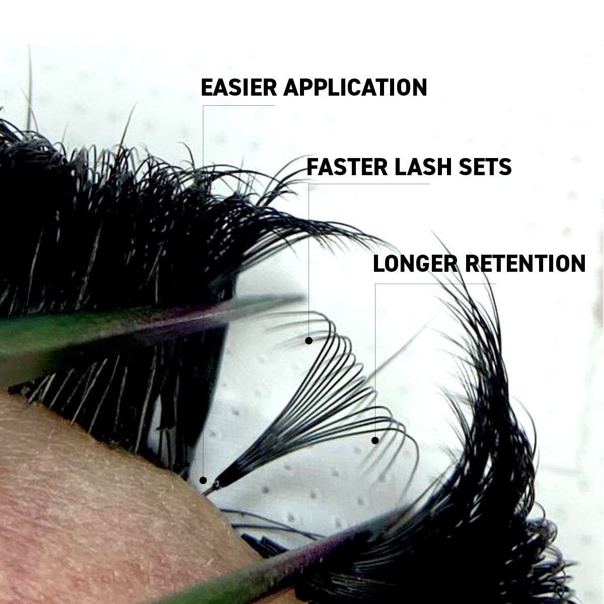 Sample Promade Lash Fans - 50 Loose Fans - One V Salon