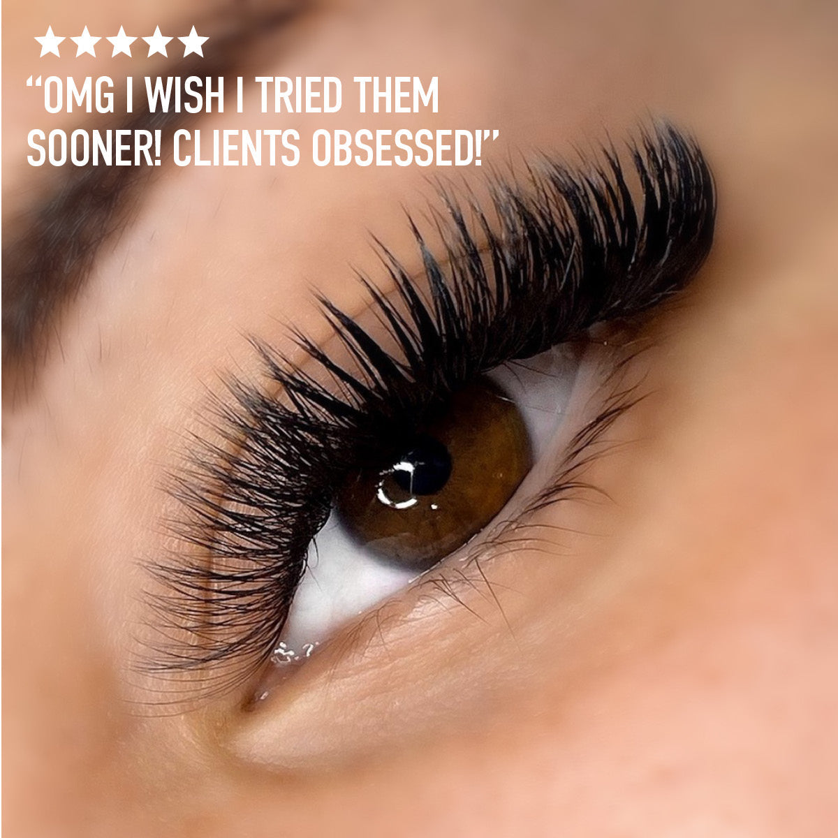 Sample Promade Lash Fans - 50 Loose Fans - One V Salon