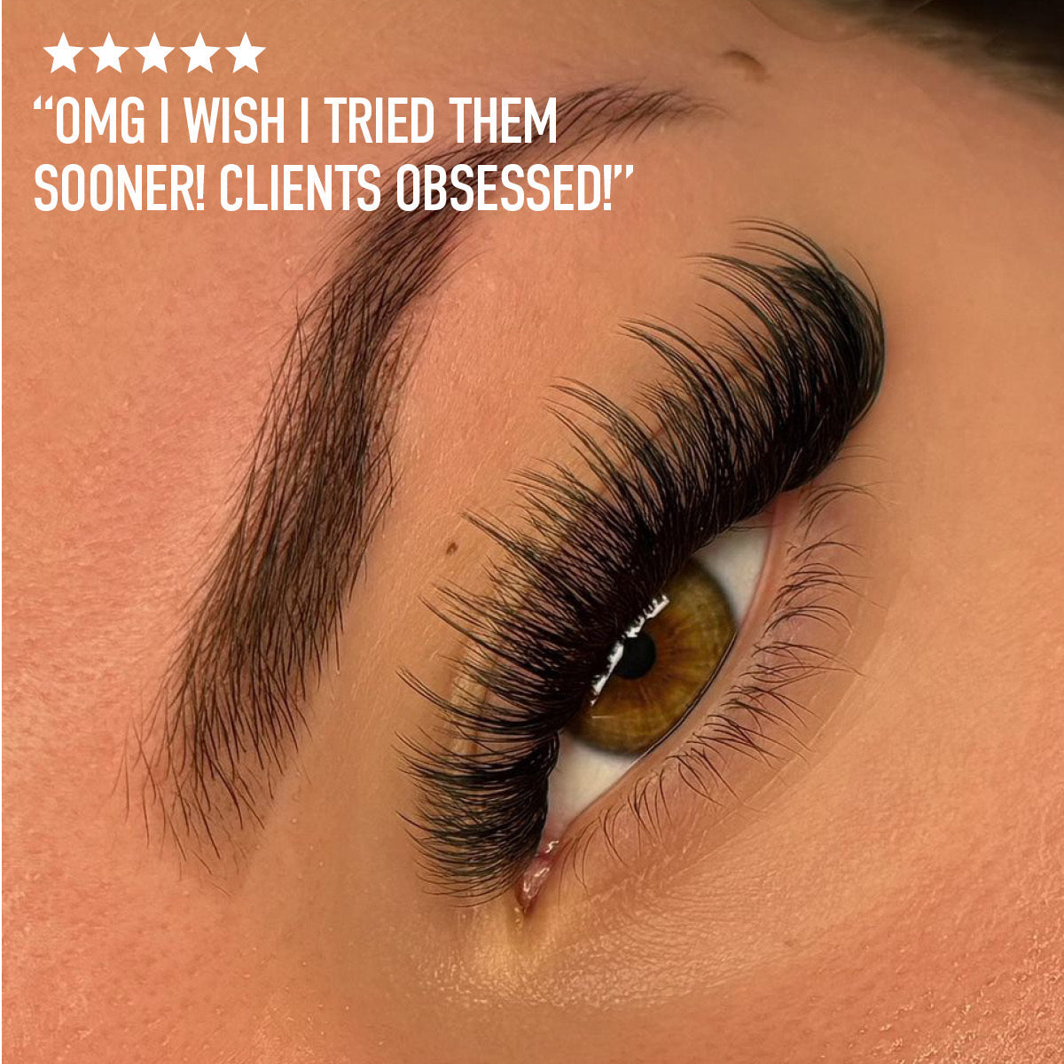 Sample Pro-Point Lash Fans - up to 48 Fans - One V Salon