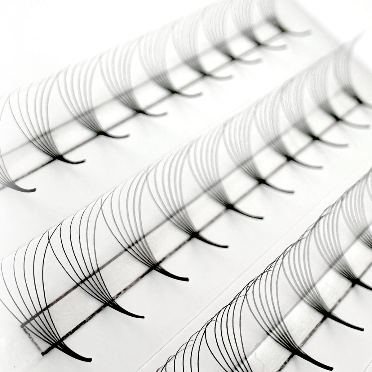 Sample Pro-Point Lash Fans - up to 48 Fans - One V Salon