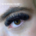 Sample Pro-Point Lash Fans - up to 48 Fans - One V Salon