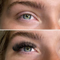 Sample Pro-Point Lash Fans - up to 48 Fans - One V Salon