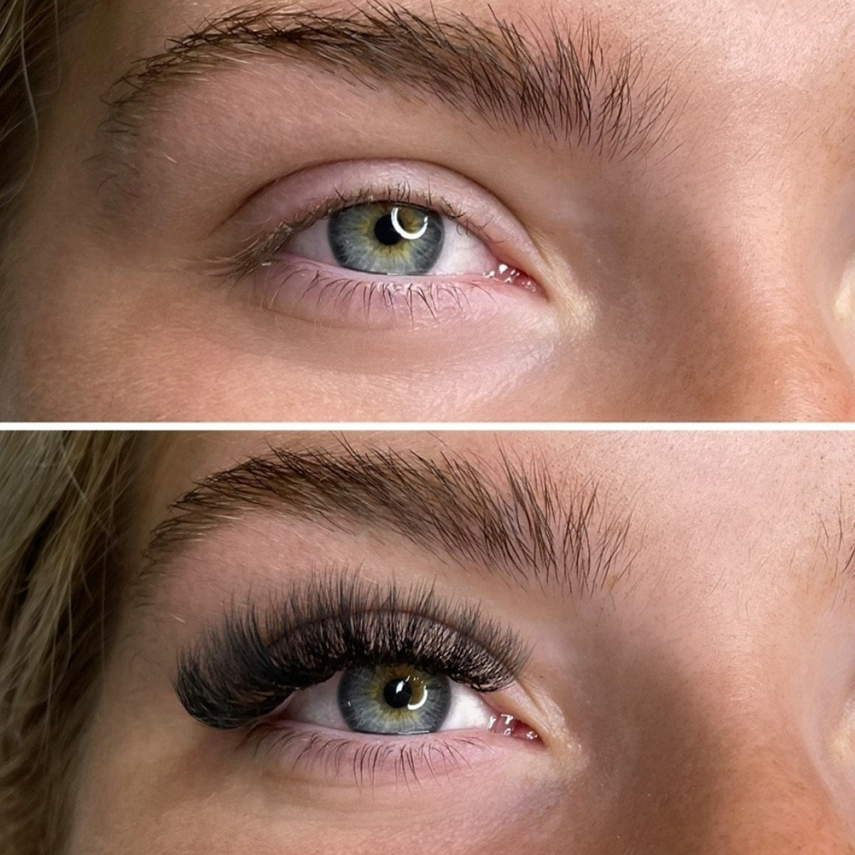 Sample Pro-Point Lash Fans - up to 48 Fans - One V Salon