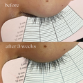 Eyelash Growth Serum - One V Salon