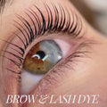 Brow & Lash Cream Dye 15 mL + Developer 3% - One V Salon