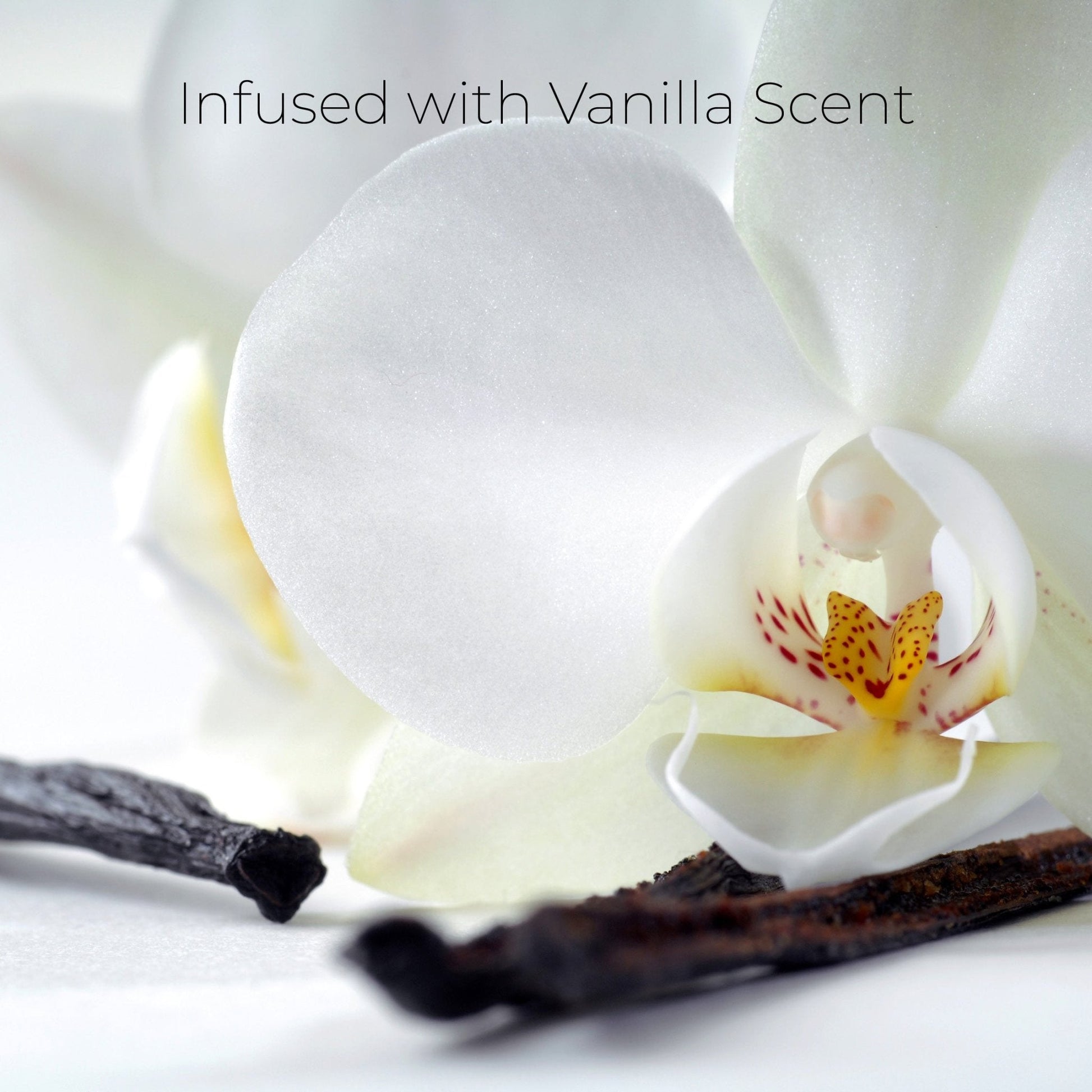 Wax Bar Essentials Bundle - One V Salon
