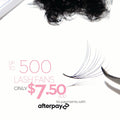 10D Promade Loose - 500 Mix Fans - One V Salon