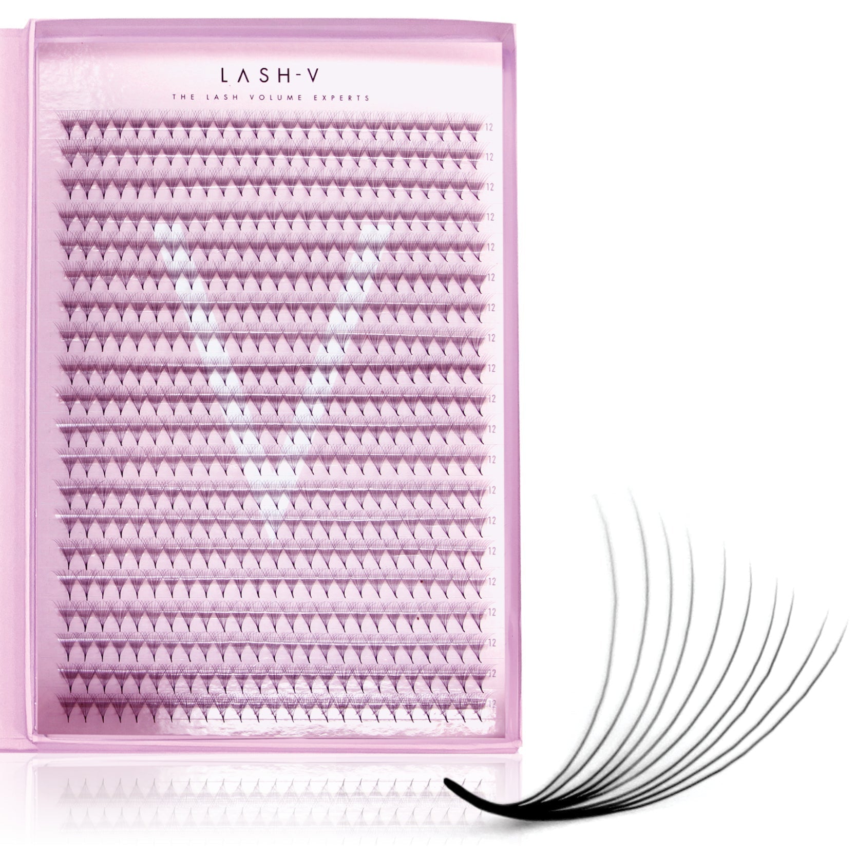 10D Promade Xxl Tray - 500 Fans - One V Salon