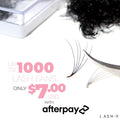 5D Promade Loose - 1000 Fans - One V Salon