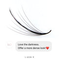 7D Promade Wispy Loose - 1000 Fans - One V Salon