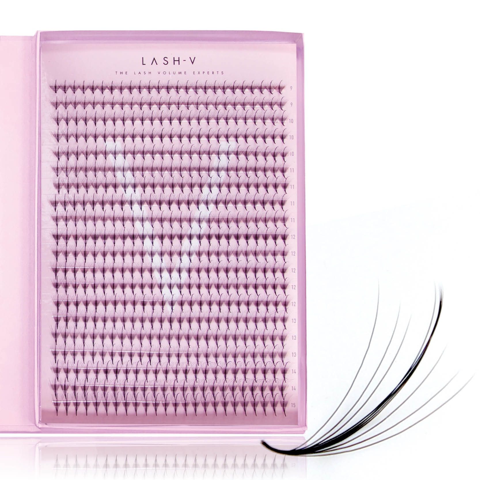 7D Promade Wispy Xxl Tray - 500 Fans - One V Salon