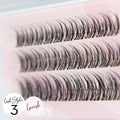 Miss Wispy Cluster Lashes - No Glue - 30 Clusters . - One V Salon