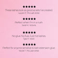 Miss Wispy Cluster Lashes - No Glue - 30 Clusters . - One V Salon