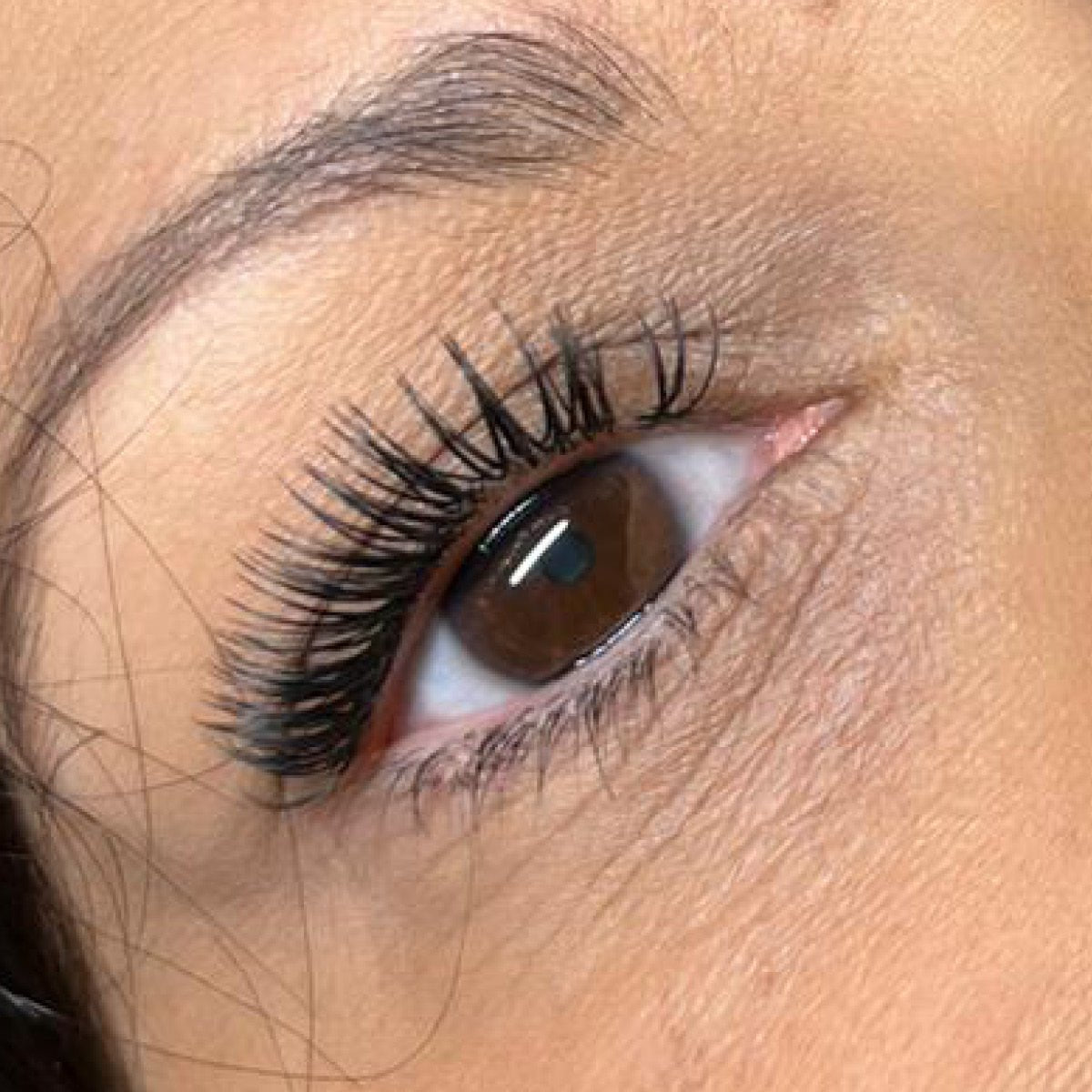 Matte Dark Volume Lashes - 0.03 - One V Salon