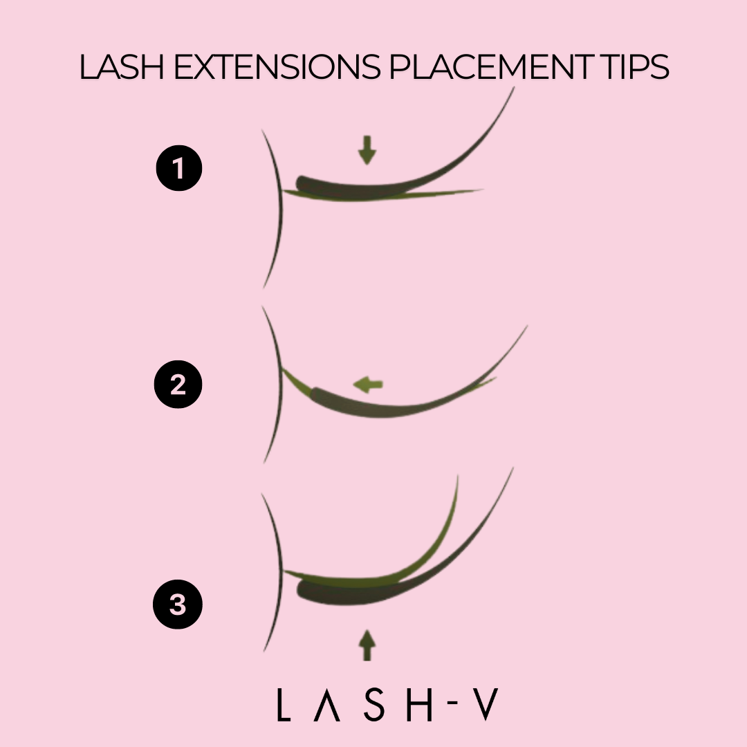 Lash Tips - Lash Extension Placement & FAQ