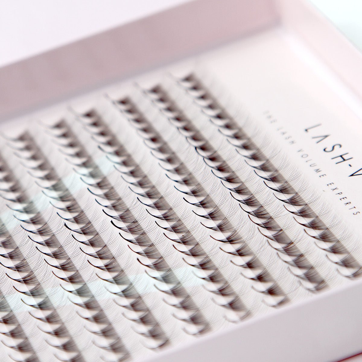 14D Promade Xxl Tray - 400 Fans - One V Salon