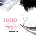 4D Promade Loose - 1000 Fans - One V Salon