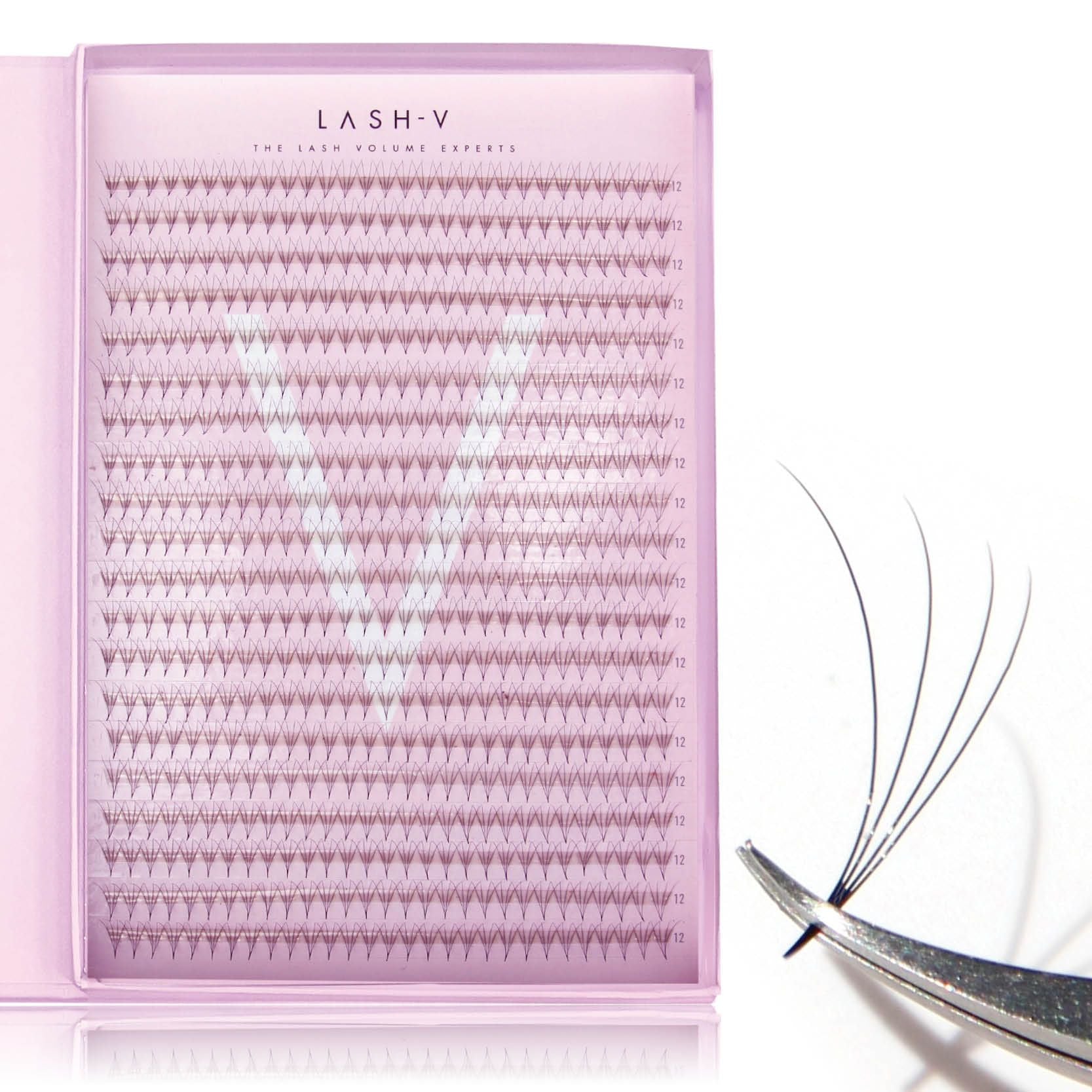 4D Promade Xxl Tray - 600 Fans - One V Salon