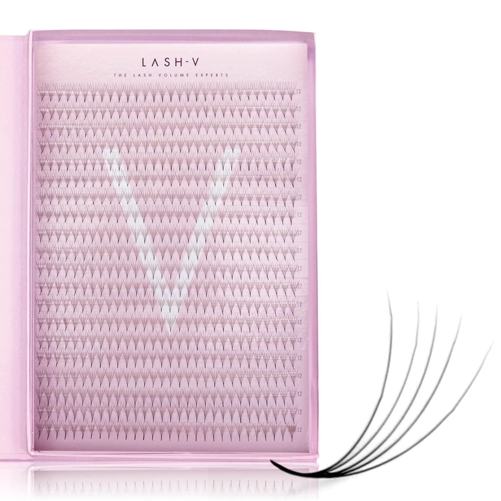 5D Promade XXL Tray - 600 Fans - One V Salon