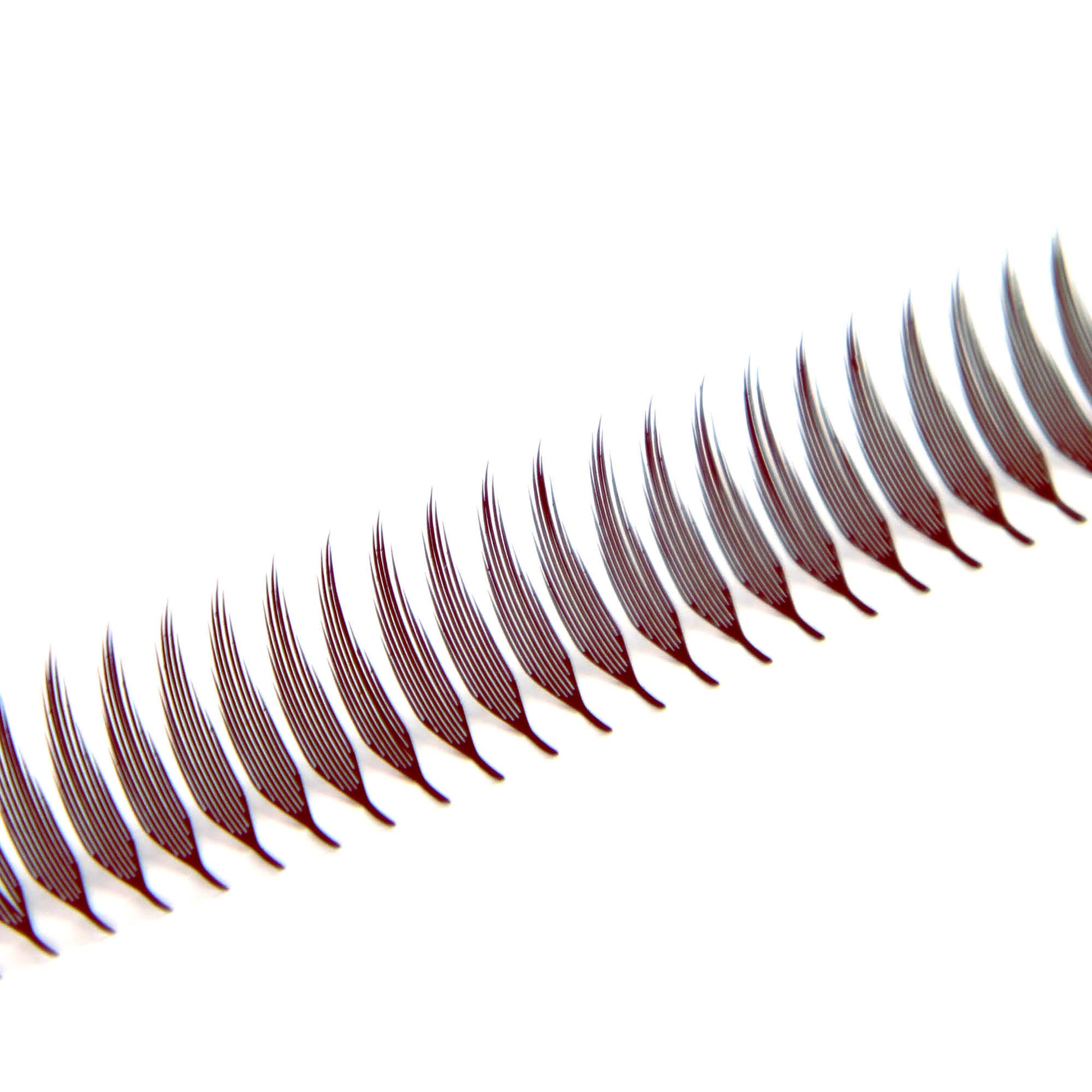 Anime Feather Spike - Dark Brown Lashes - 800 Fans