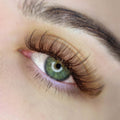 Brown Lashes Saver Bundle - x4 Trays - Matte Dark/Short Stem/Pro-point - One V Salon