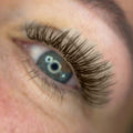 Brown Lashes Saver Bundle - x4 Trays - Matte Dark/Short Stem/Pro-point - One V Salon