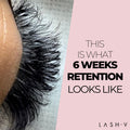 Triple Threat - Lash Adhesive Glue - One V Salon