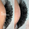 Triple Threat - Lash Adhesive Glue - One V Salon