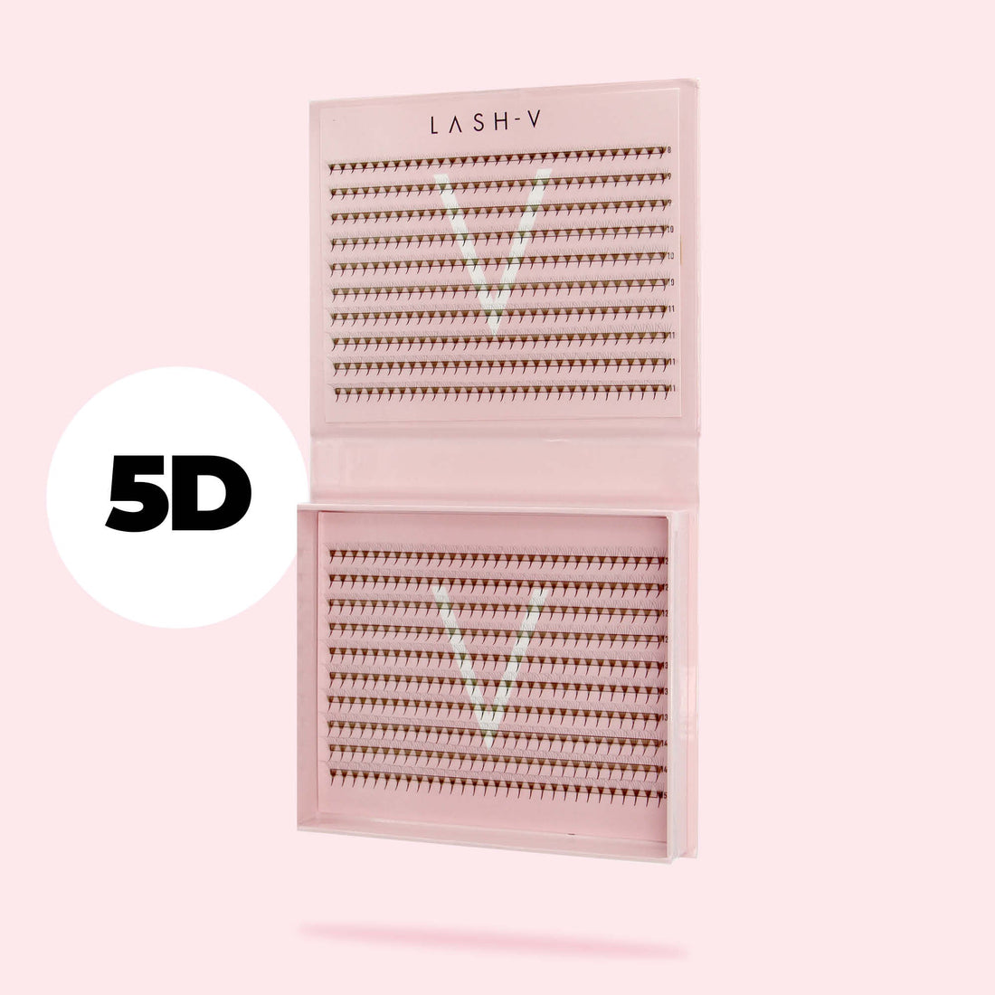 5D Promade Fans NEW XXL Tray 600 - Premade Volume Fans - One V Salon