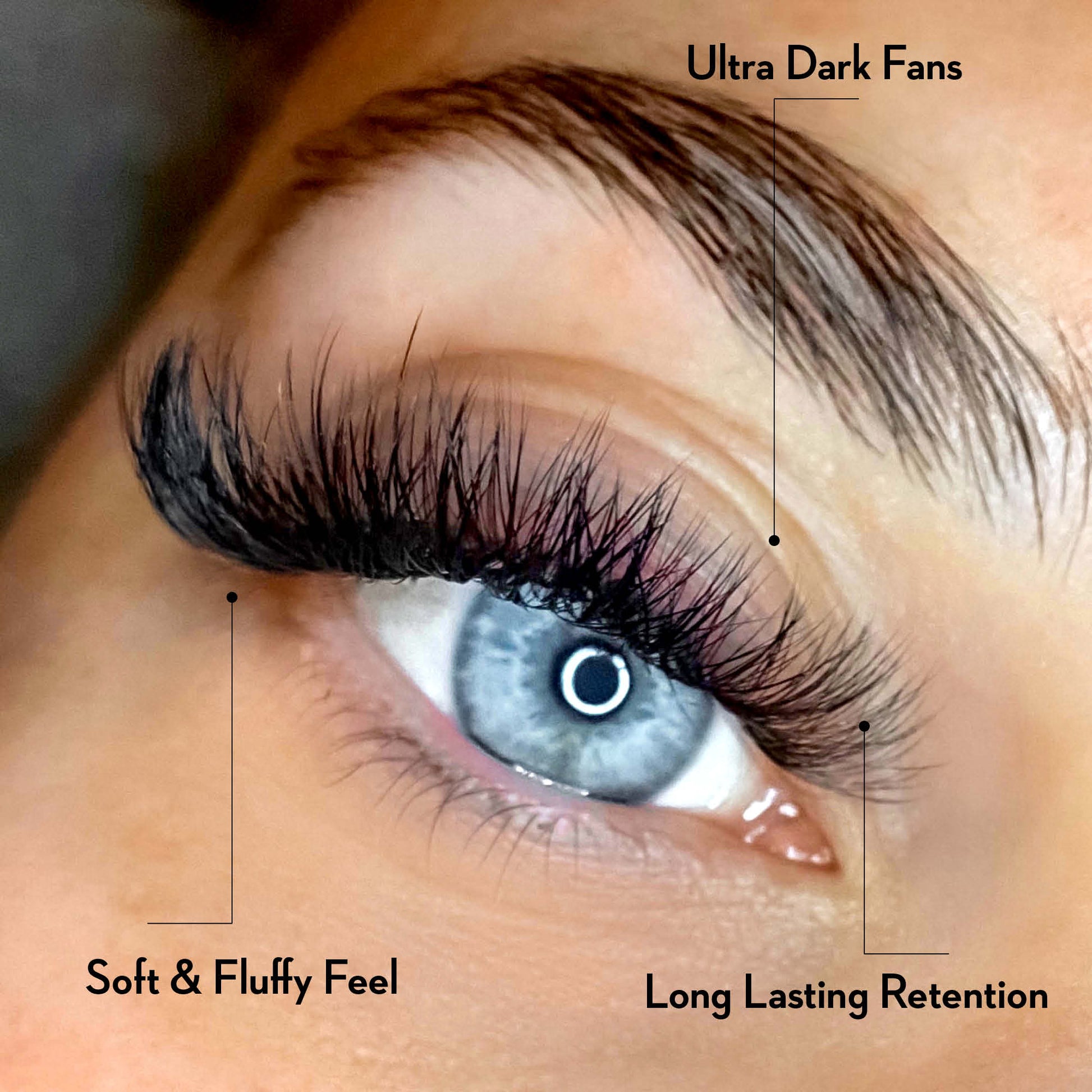 4D Promade Fans - Ultra-Speed 1000 Volume Fans - New Tray - One V Salon