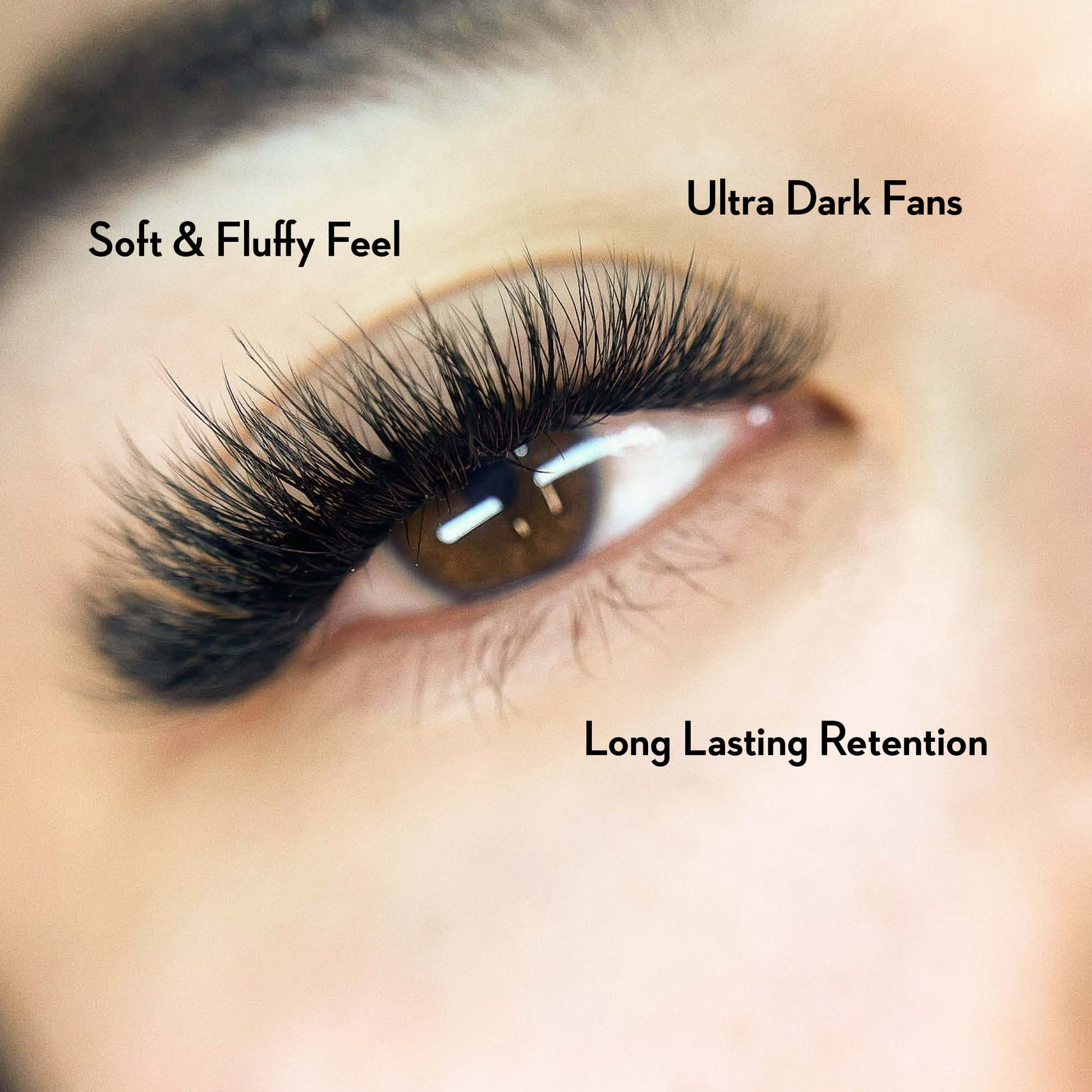 6D Promade Fans - Ultra-Speed 1000 Volume Fans - New Tray - One V Salon