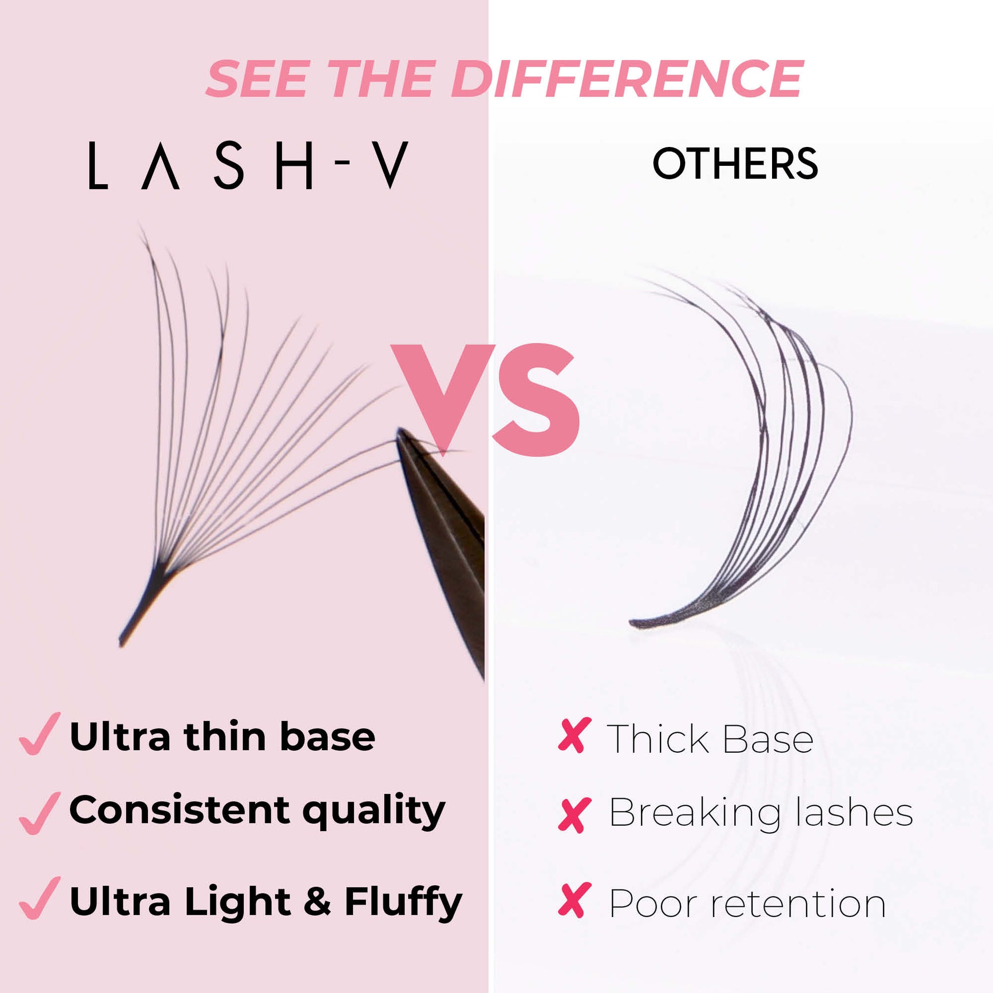 14D Promade Fans NEW XXL Tray 400 - Premade Volume Fans - One V Salon