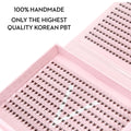 10D Promade Fans NEW XXL Tray 500 - Premade Volume Fans - One V Salon