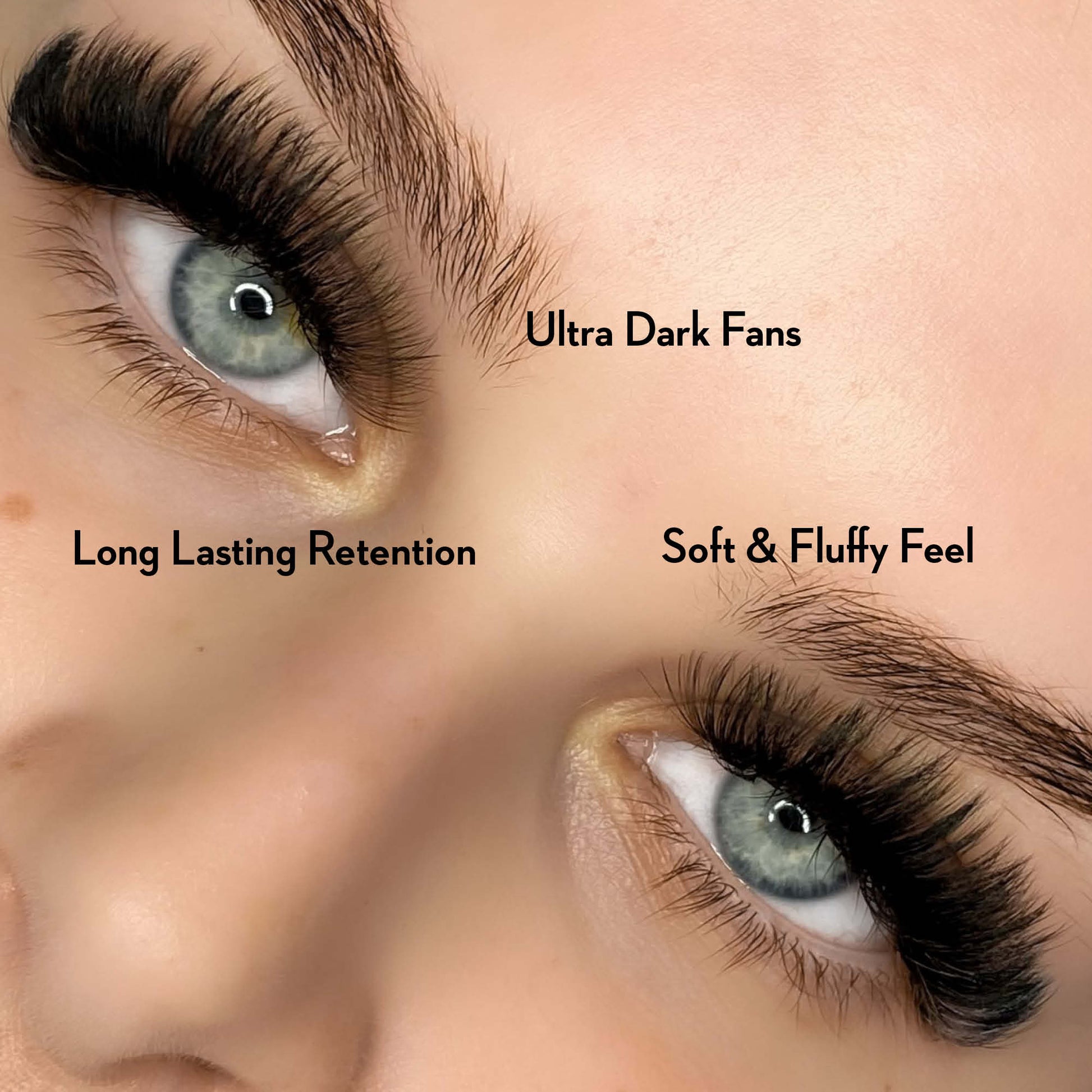 10D Promade Fans NEW XXL Tray 500 - Premade Volume Fans - One V Salon