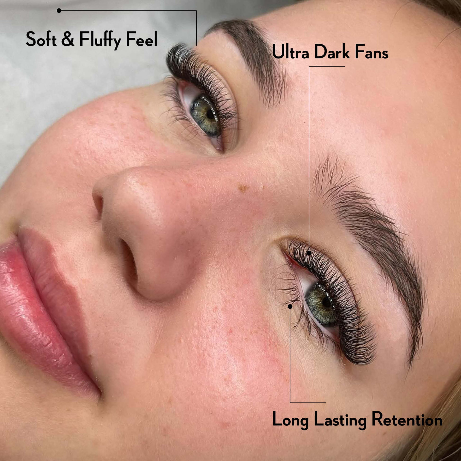 3D Promade Fans NEW XXL Tray 600 - Premade Volume Fans - One V Salon