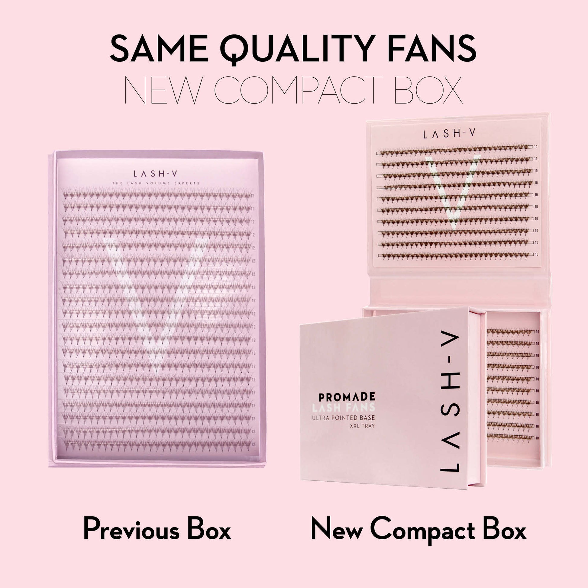 4D Promade Fans NEW XXL Tray 600 - Premade Volume Fans - One V Salon