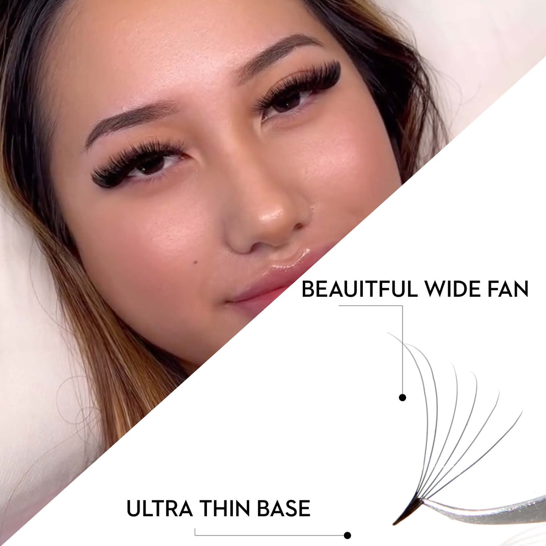 6D Promade Fans NEW XXL Tray 600 - Premade Volume Fans - One V Salon