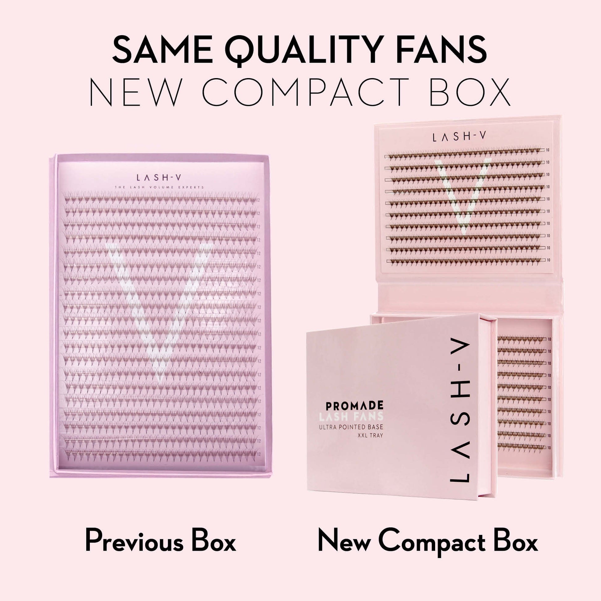 8D Promade Fans NEW XXL Tray 500 - Premade Volume Fans - One V Salon