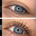 Lash Lift & Brow Lamination Professional Starter Kit - One V Salon