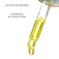 Eyebrow Nourishing Oil - 30ml New Bundles - One V Salon