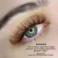 6D Short Stem Pro - Brown 400 Fans - One V Salon