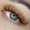 3D Short Stem Pro - Brown 800 Fans - One V Salon