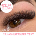 10D Wholesale Premade Lash Fans Loose 1000ct - Salon Supply - One V Salon