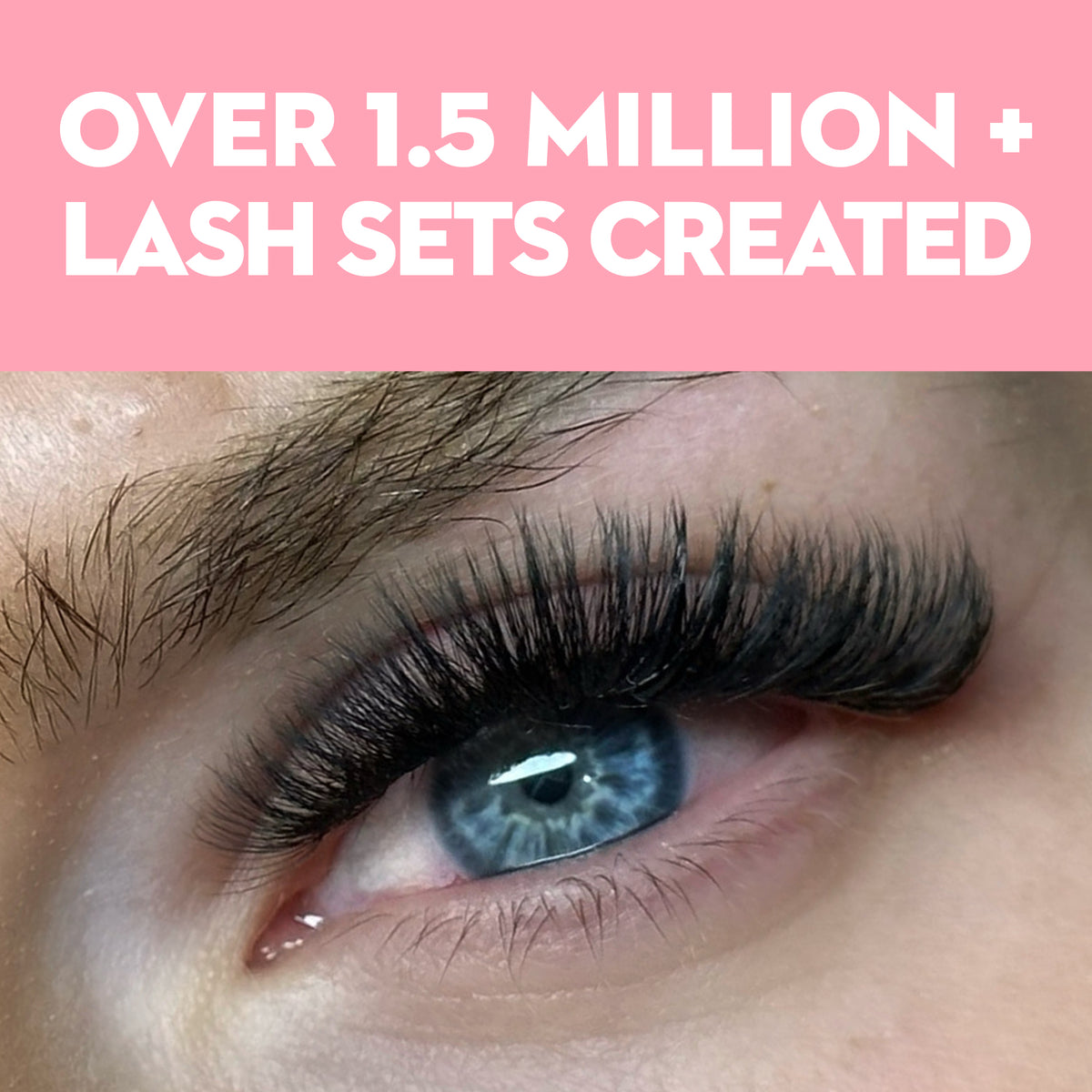 10D Wholesale Premade Lash Fans Loose 1000ct - Salon Supply - One V Salon
