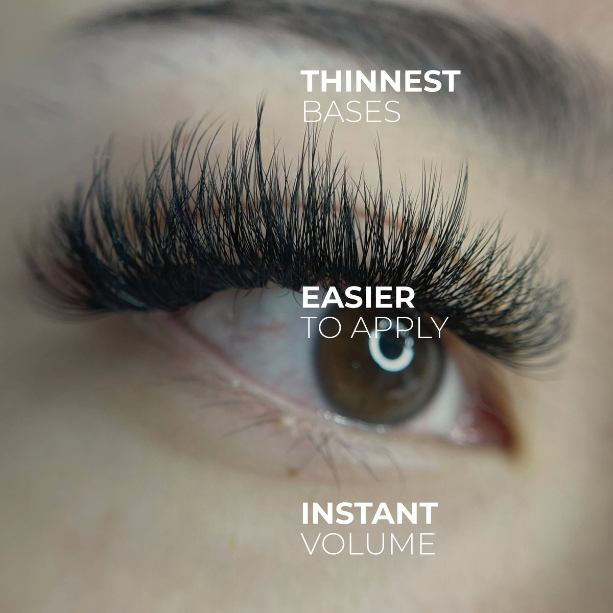 9D Promade Wispy Loose - 1000 Fans - One V Salon